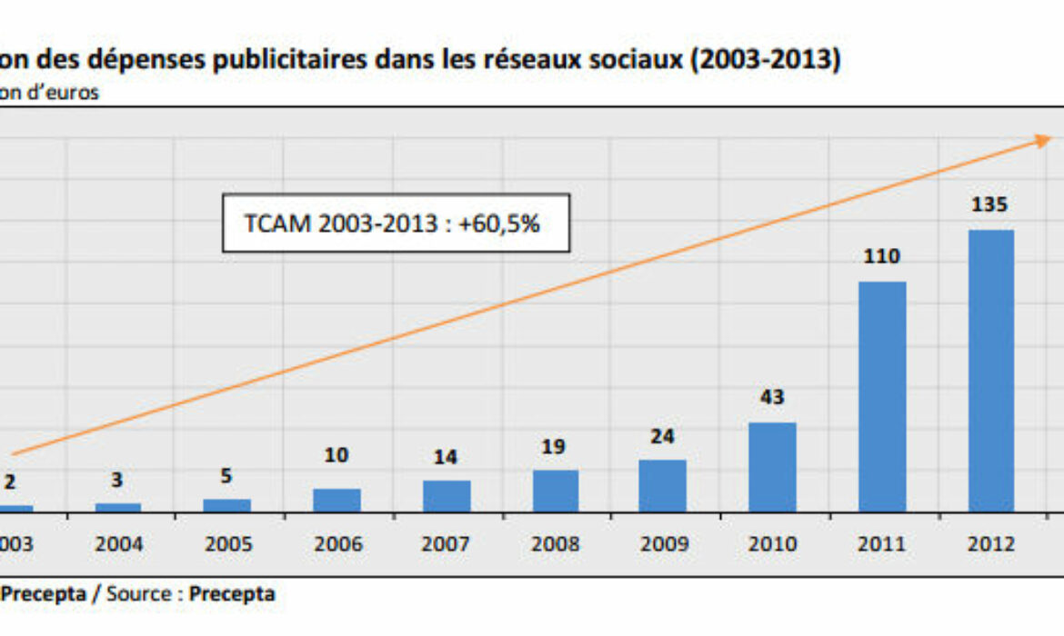 Le marché de la publicité digitale profite aux réseaux sociaux
